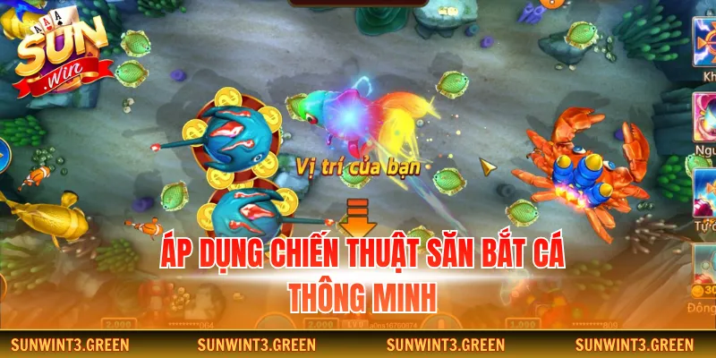 Áp dụng chiến thuật săn bắt cá thông minh